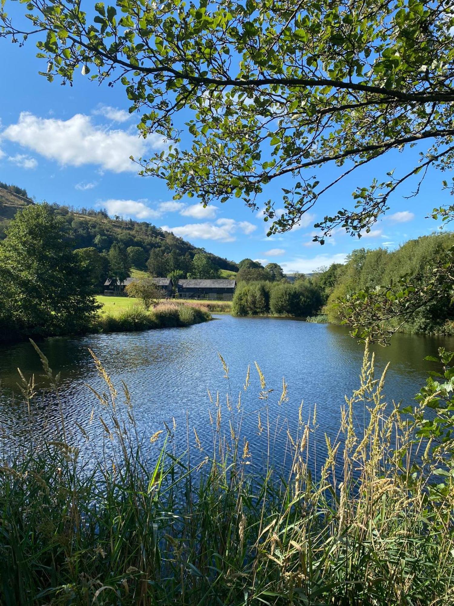 Lake Cottages At Cwm Chwefru Llanafan-fawr Bagian luar foto